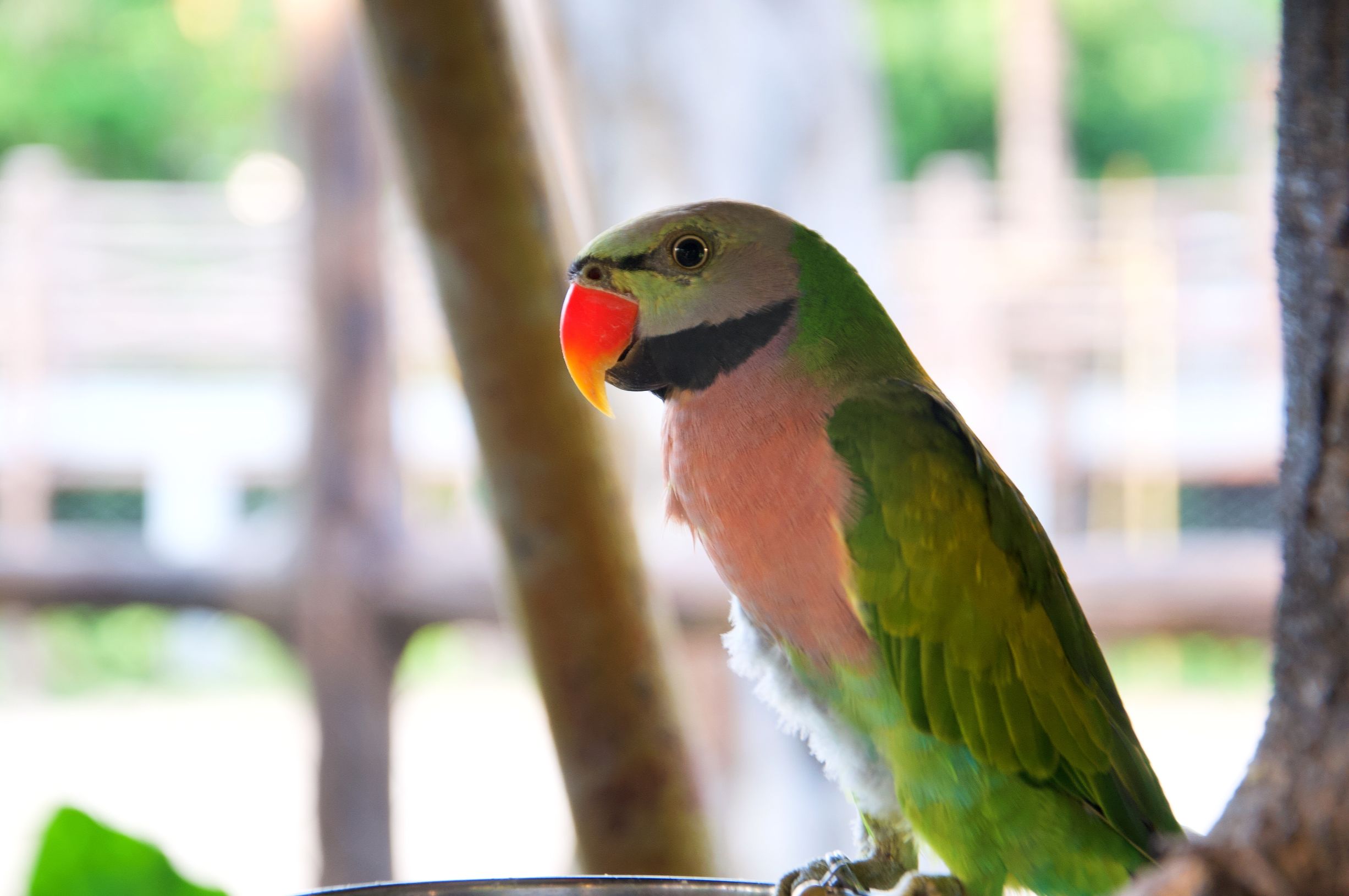 三亚度假之旅完美结束,三亚度假巨无霸五天五夜玩不腻