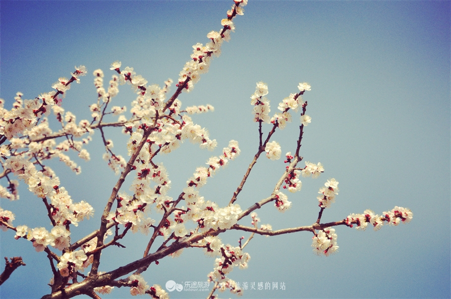 金山岭长城东段古长城,金山岭长城照片大全