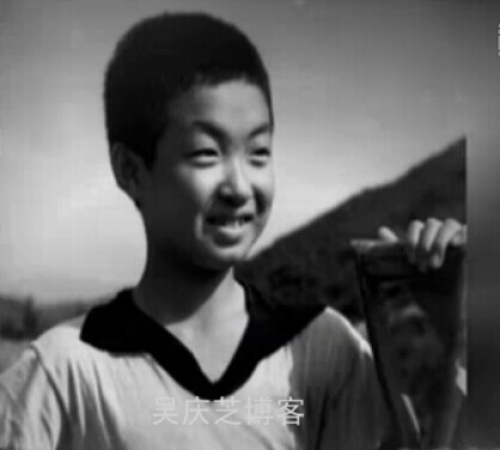 金星说数字小姐完全版,金星数字小姐真实身份