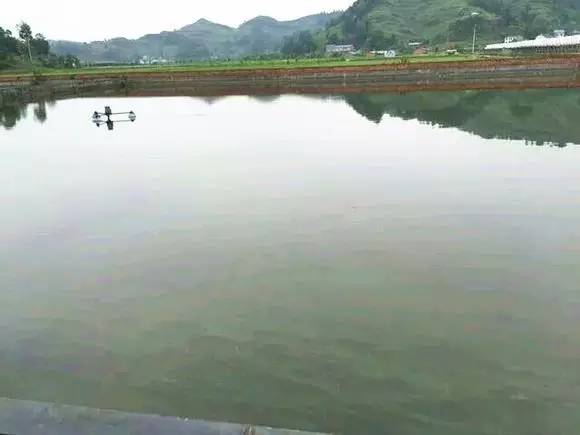 成都2020十大免费钓鱼地方,成都钓鱼地点推荐大全