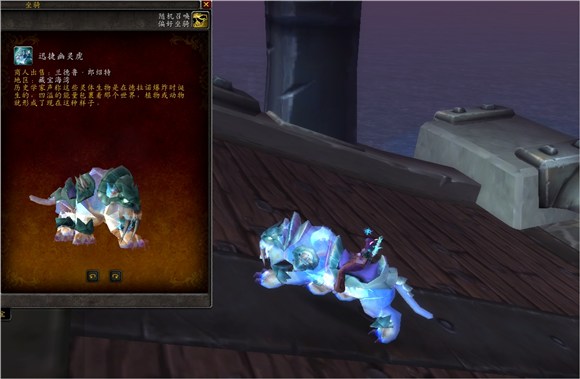 魔兽世界集换式卡牌坐骑,魔兽世界卡牌飞龙坐骑