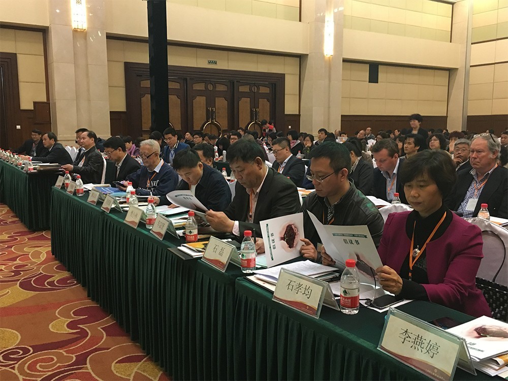 动态|同行家学者一起对肥料染色说不！