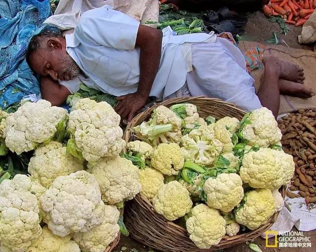 从厨房到餐桌里的美食,从市场到餐桌