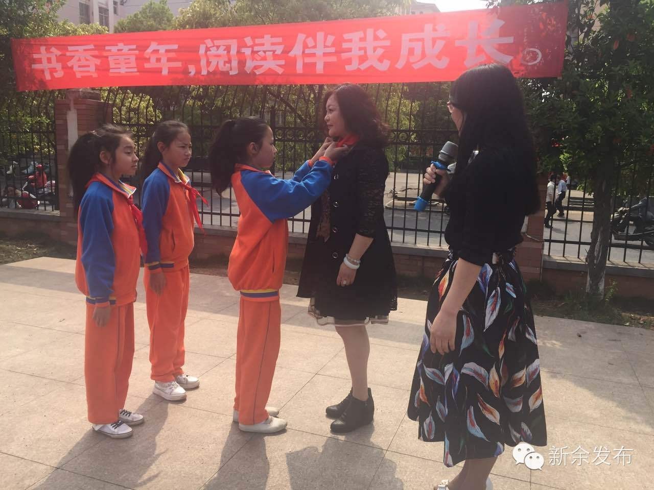 淘气包马小跳杨红樱在哪能看,杨红樱淘气包马小跳为啥不让看了