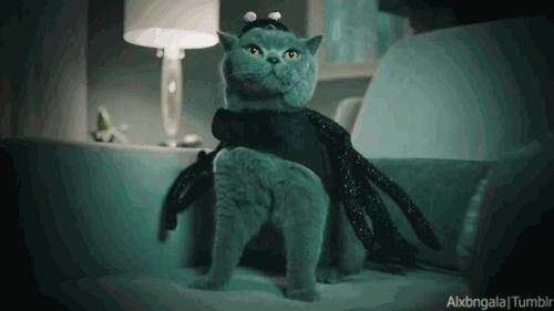 中医认为月经期能够跑步么,姨妈期跑步保命指南