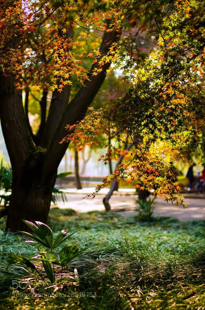 12月低价旅游机票,9月机票最便宜的地方
