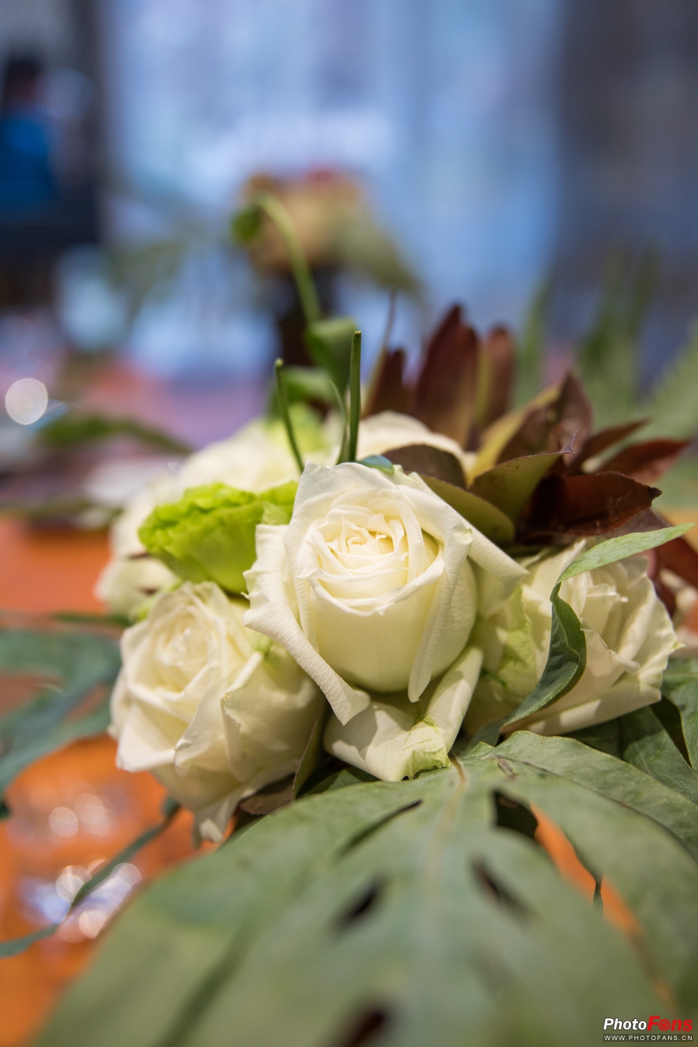 适马18-50mmf2.8缺点和不足,适马24-70f2.8和适马三剑客怎么选