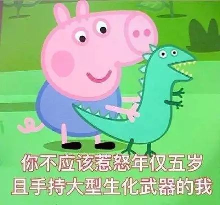 佩奇表情包搞笑图片,合适佩奇的表情包