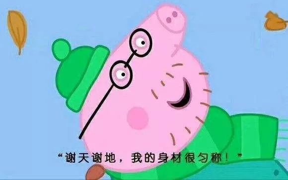 佩奇表情包搞笑图片,合适佩奇的表情包