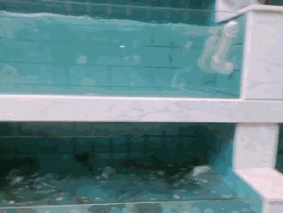 霸气！晋江这家店在火锅界已经拉仇恨了，锅底免费+3元开吃……