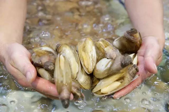 霸气！晋江这家店在火锅界已经拉仇恨了，锅底免费+3元开吃……