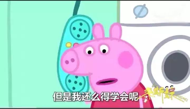 佩奇表情包搞笑图片,合适佩奇的表情包