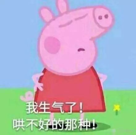 佩奇表情包搞笑图片,合适佩奇的表情包