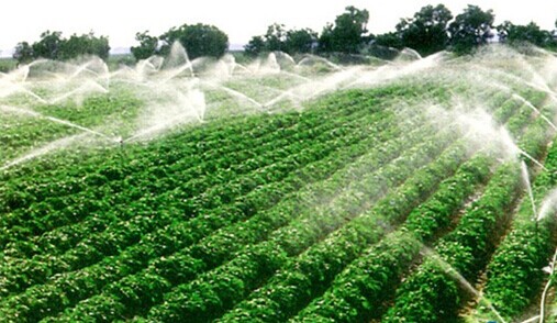 宿迁市农业产业链发展举措,宿迁农业高质量发展