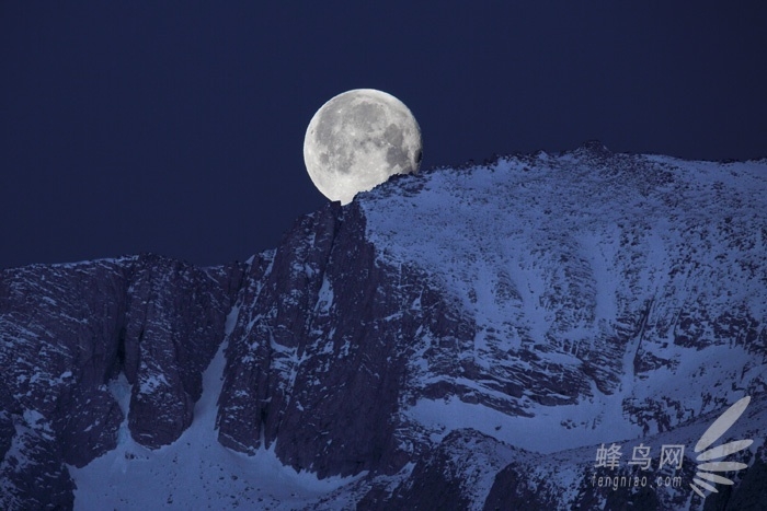 年度盛事腾龙行跟着大师去创作正式启动