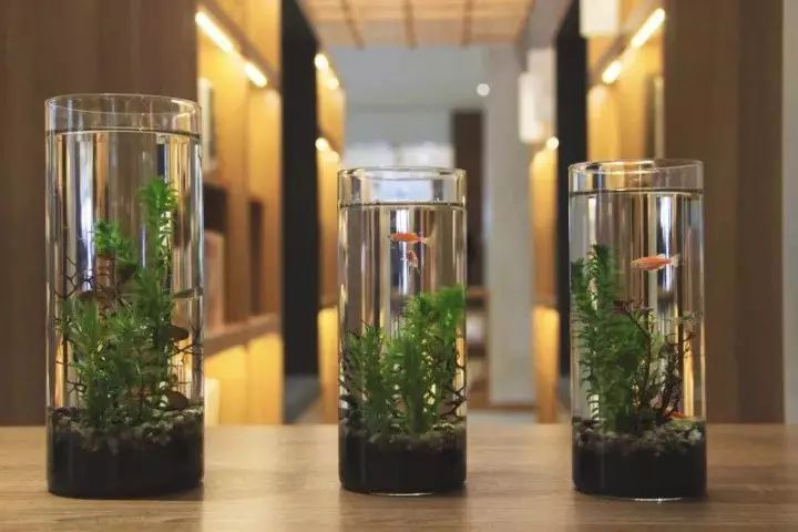 南京最美十大书店,24小时旧书店