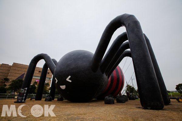 artzoo动物园,zoo艺术动物园门票