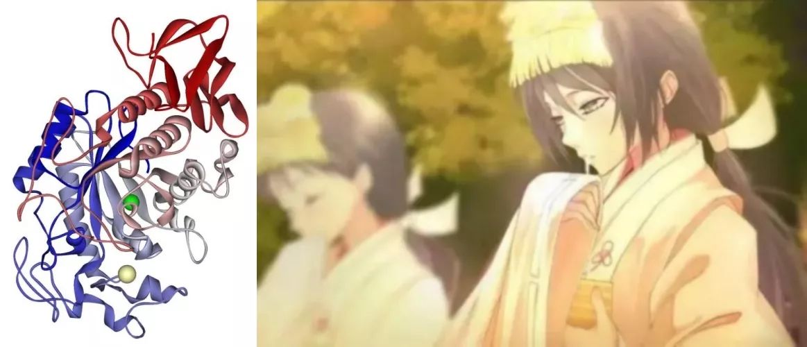 水果酵素蔬菜酵素,水果酵素蔬菜酵素中药酵素