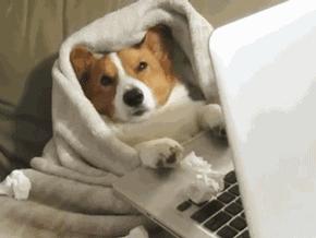 恩施打卡必到之处,恩施又能吃又能玩的地方