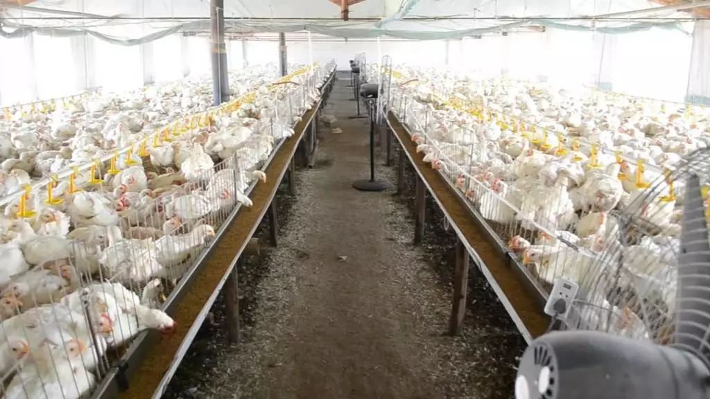 养殖环保税法最新消息,养殖环保税最新消息