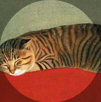 分析辟谣｜苏州名校学区已经抱团？！未来哪个区最受名校青睐