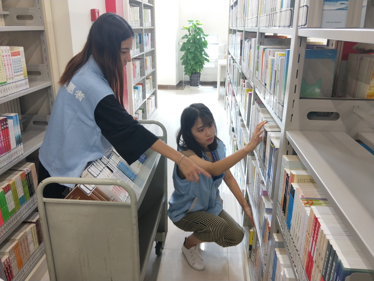 文案比不过小学生？快来房山最具人气的图书馆充充电！