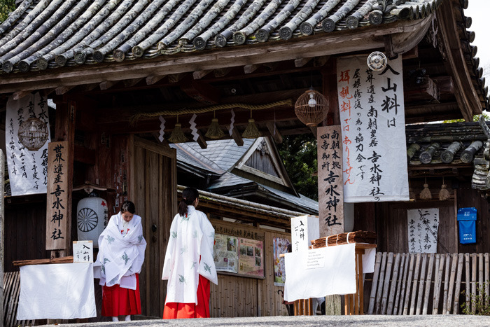 年度盛事腾龙行跟着大师去创作正式启动