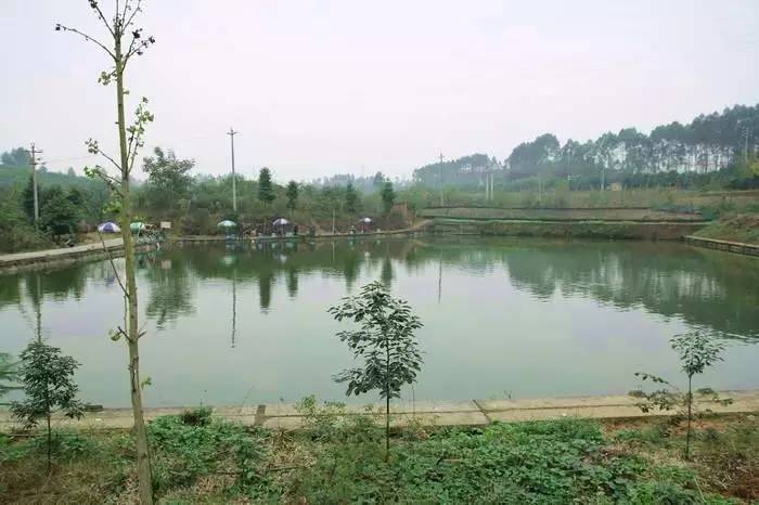 成都2020十大免费钓鱼地方,成都钓鱼地点推荐大全