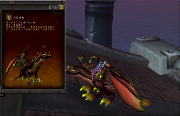 魔兽世界集换式卡牌坐骑,魔兽世界卡牌飞龙坐骑