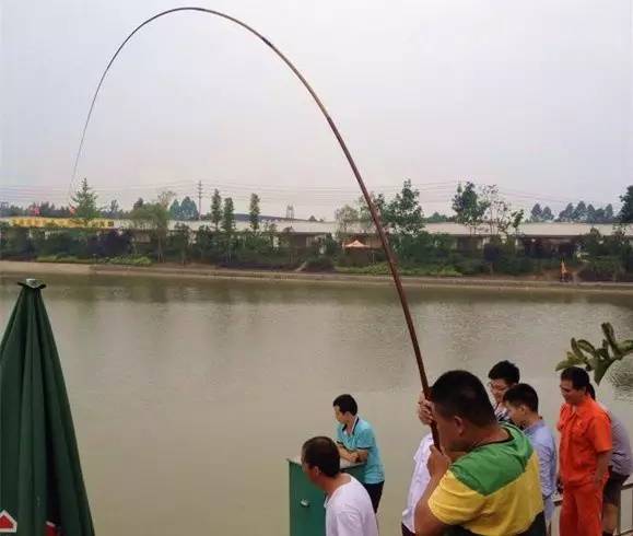 成都2020十大免费钓鱼地方,成都钓鱼地点推荐大全