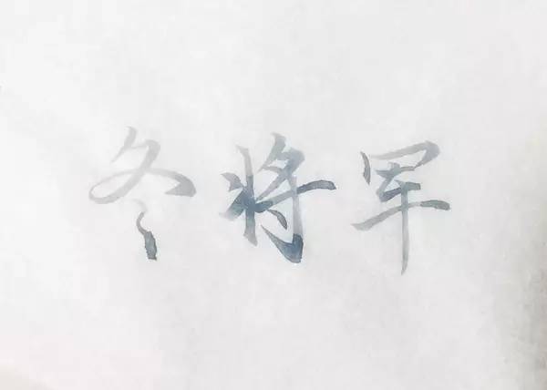 一支钢笔能够用不同颜色的墨水吗,钢笔用什么颜色的墨水才炫酷