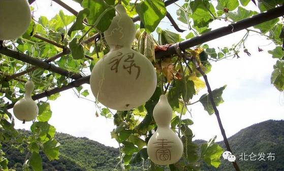 北仑自助农家乐,北仑春晓农家乐攻略