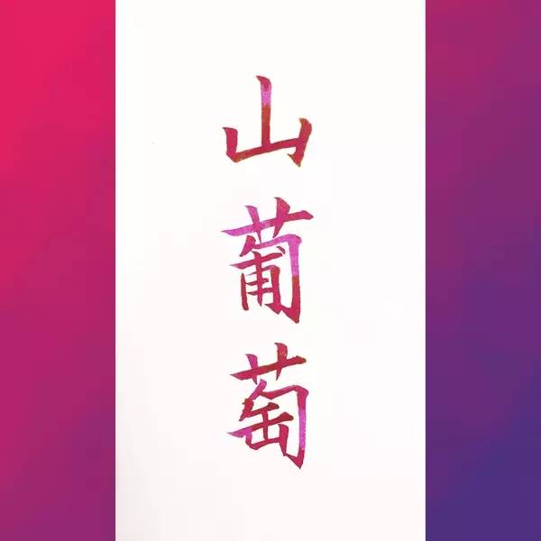 一支钢笔能够用不同颜色的墨水吗,钢笔用什么颜色的墨水才炫酷