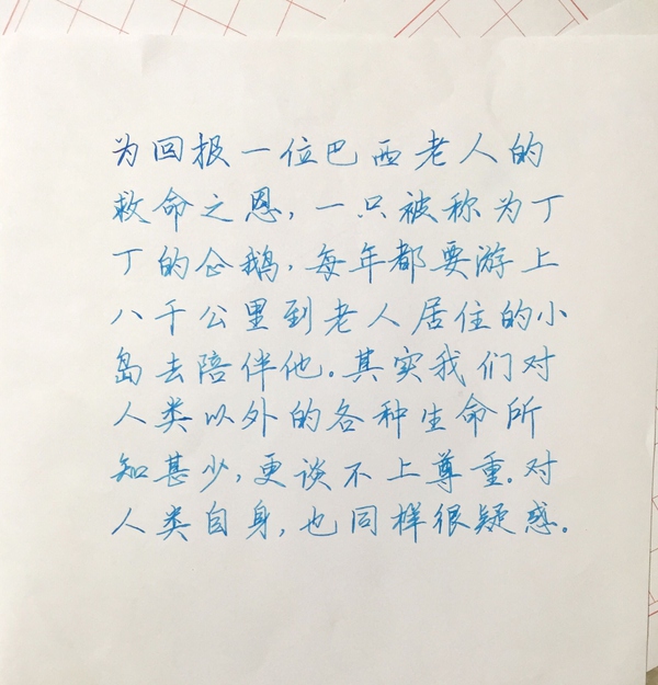 一支钢笔能够用不同颜色的墨水吗,钢笔用什么颜色的墨水才炫酷
