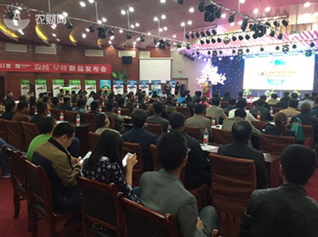 日曹妆颜杀菌剂功效功能,日曹妆颜杀菌剂在柑橘上应用