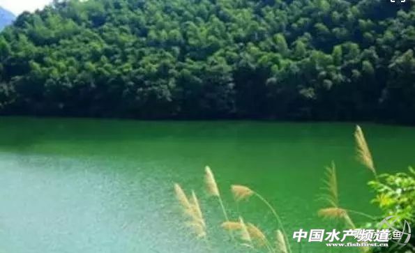 养殖水浓用什么药好,养殖水硬度高有什么好处