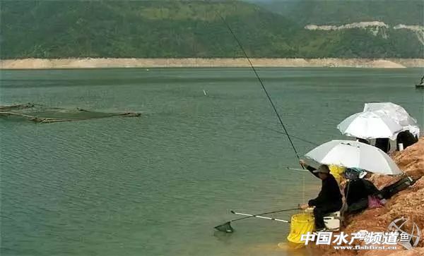 养殖水浓用什么药好,养殖水硬度高有什么好处