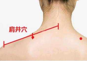 每日一膳｜“走马灯”都冻住了？快来学学这些妙招，通经络的寒瘀！广东省中医院杨志敏教授今日推荐祛风湿、止头痛、散表寒汤膳