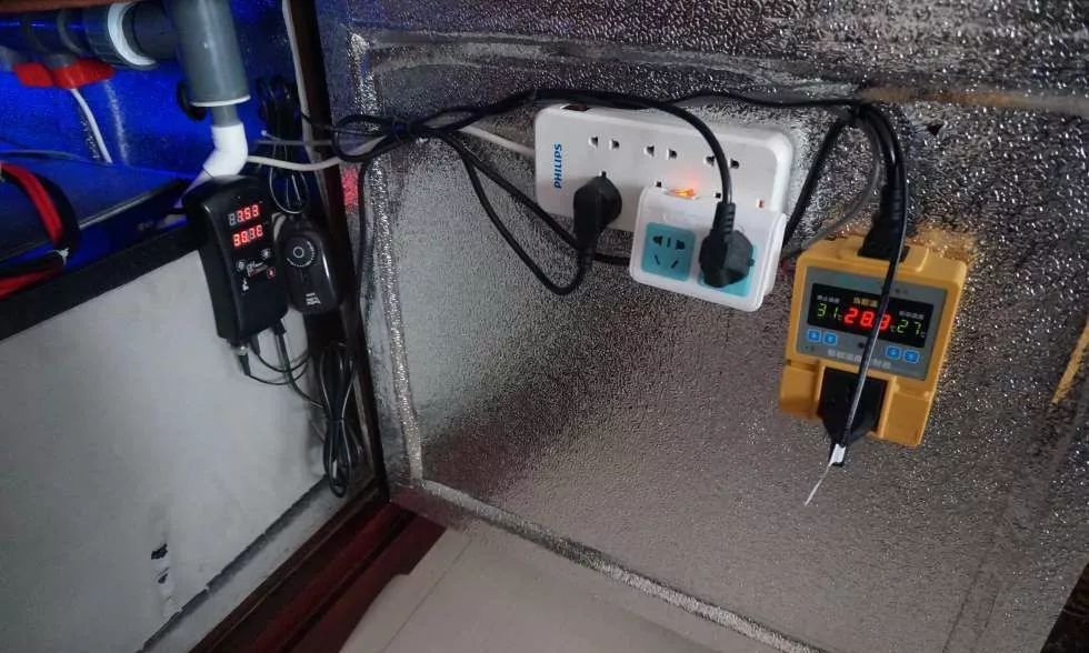 玩得细致、专业，出手不凡！