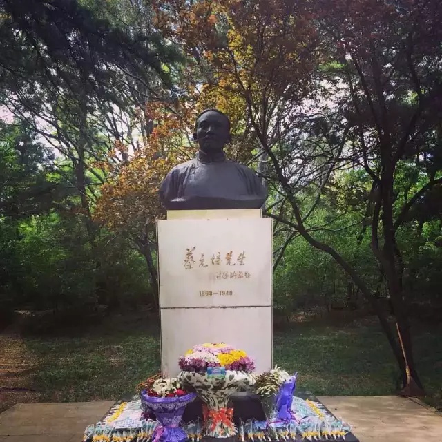 豆瓣日记:我们从未远去的北大岁月