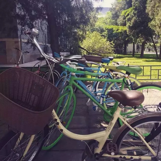 豆瓣日记:我们从未远去的北大岁月