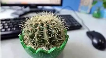 閭ｄ簺楠楄繃鎴戜滑鐨勫皬甯歌瘑,娆洪獥浣犲骞寸殑灏忕煡璇嗙粓浜庢壘鍏ㄤ簡