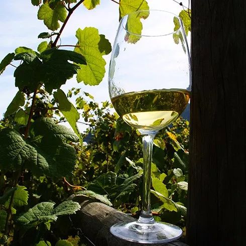 节日氛围渐浓，来西班牙买买买！