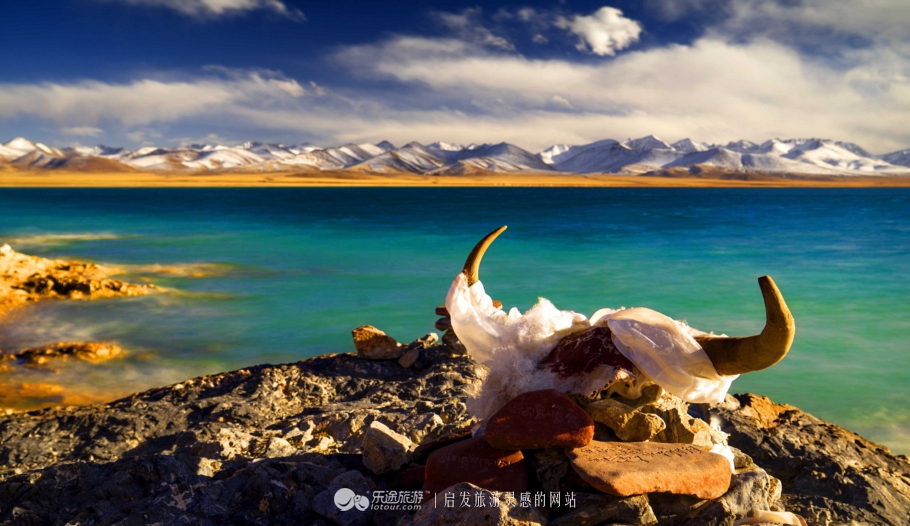 逃离图书馆,逃离方块