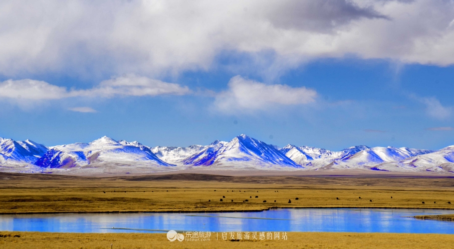 逃离图书馆,逃离方块