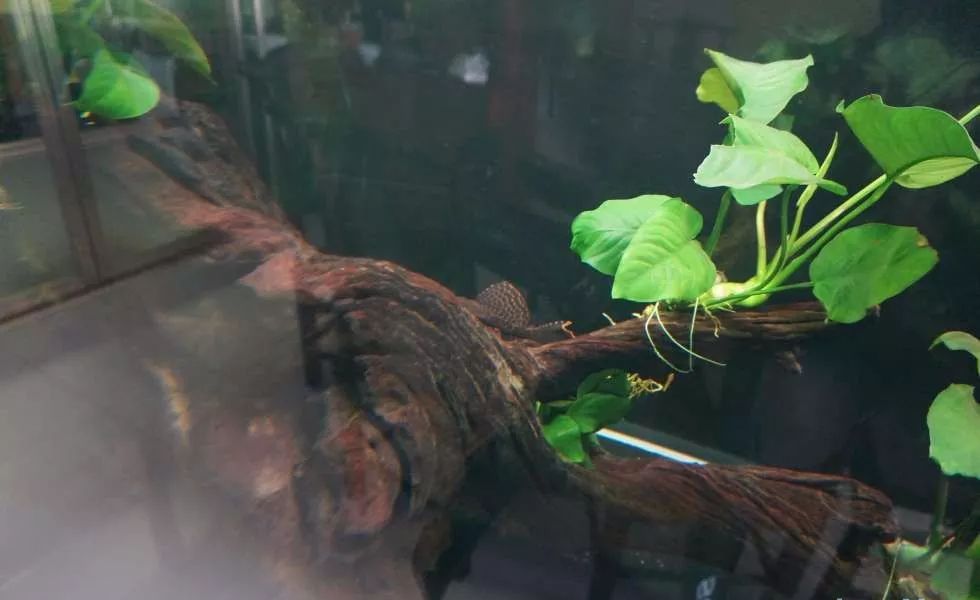 玩得细致、专业，出手不凡！