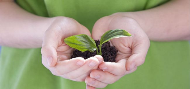 环保税开征专题,环保税开征新闻发布