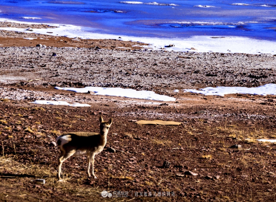 逃离图书馆,逃离方块
