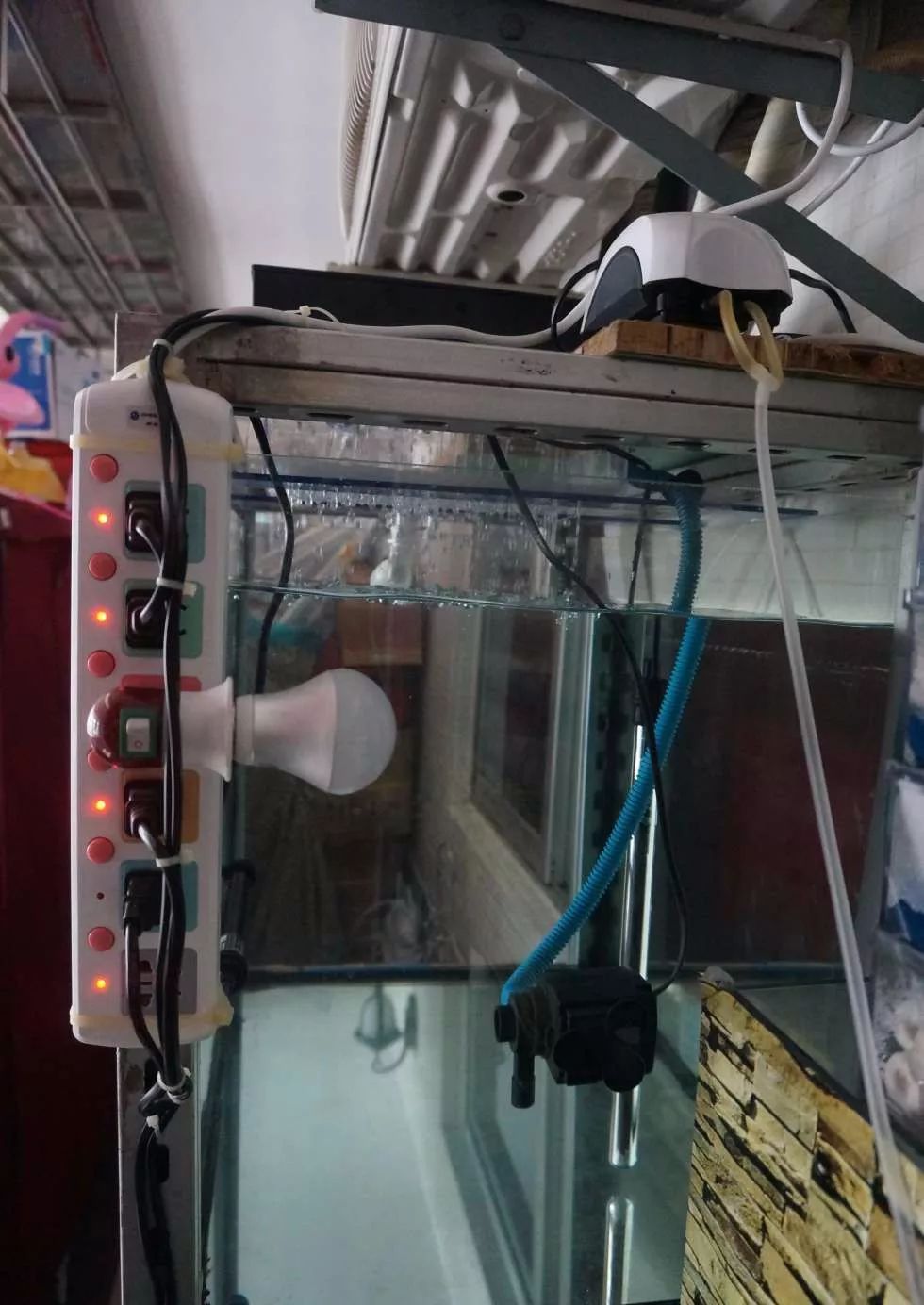 玩得细致、专业，出手不凡！