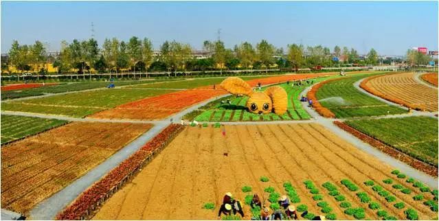 龙泉驿区幸福美丽乡村建设,龙泉驿日照村乡村振兴项目